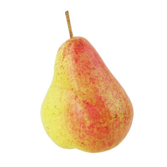 Lifelike Fake Pears